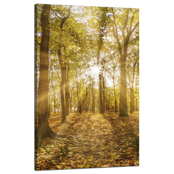 Leinwandgemälde Sonne zwischen Bäumen im Wald 50x80 cm