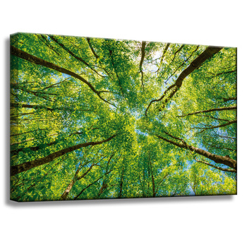 Leinwandgemälde Bäume Blätter Natur Wald Frühling 60x40 cm