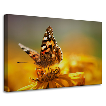 Leinwandgemälde Tiere Schmetterling auf einer Blume 90x60