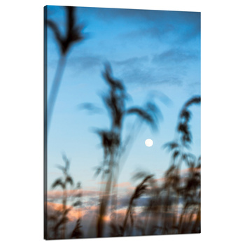 Bild auf Leinwand Nature Glade Meadow Sunrise 80x120