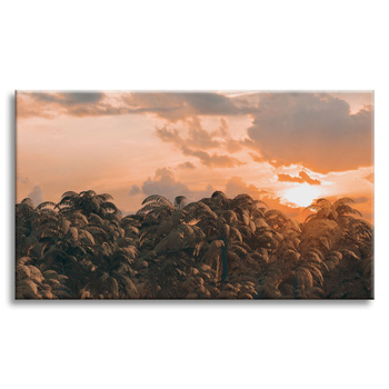 Leinwandgemälde Bäume Sonnenuntergang Wolken Himmel 120x80 cm