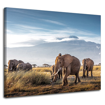Leinwandgemälde Wandering Elephants Mountain Savannah Natural Environment 100x80 cm