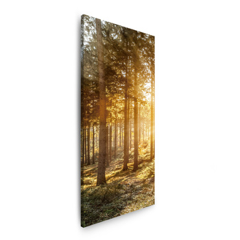 Leinwandgemälde Birken Bäume Sonnenmorgen 40x120 cm