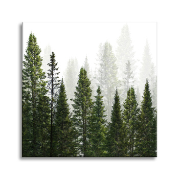 Leinwandgemälde Regenwald Natur Bäume 40X40 cm