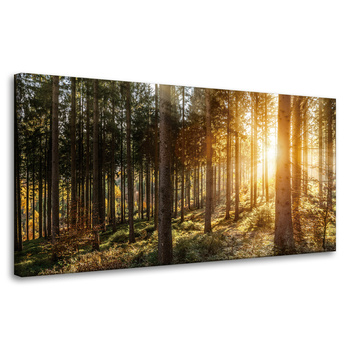 Leinwandgemälde Birken Bäume Sonnenmorgen 80x40 cm