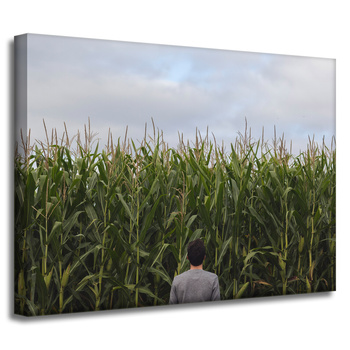 Leinwandgemälde Natur Maisfeld 40x30 cm