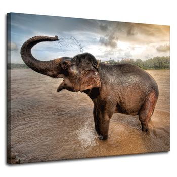 Leinwandgemälde Elefant Wasserwolken Natur Baden 100x80 cm