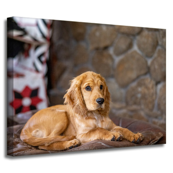 Leinwandgemälde Tiere Hund 40x30 cm