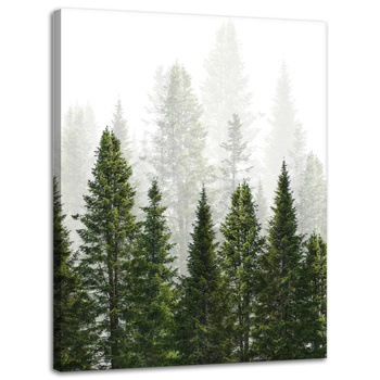 Leinwandgemälde Regenwald Natur Bäume 30x40 cm