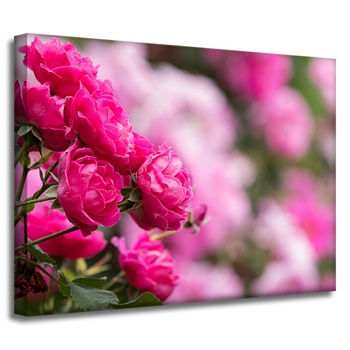 Leinwandgemälde Botanik Rosa Rosen 40x30 cm