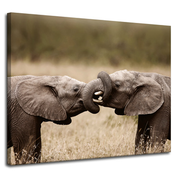 Leinwandgemälde Elefant trifft Afrika Natur 100x80 cm
