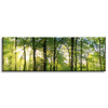 Leinwanddruck Sonne, Wald, Bäume, Lichtstrahlen, 120x40 cm