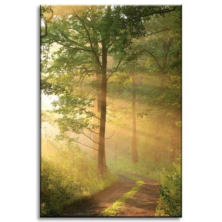 Leinwandgemälde Sonnenlicht Waldweg Natur 40x60 cm
