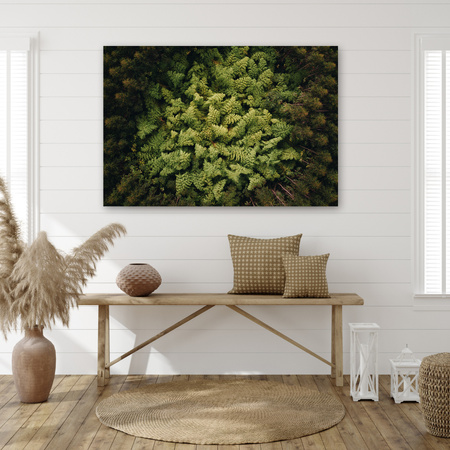 Leinwandgemälde Naturbäume aus der Vogelperspektive 70x50