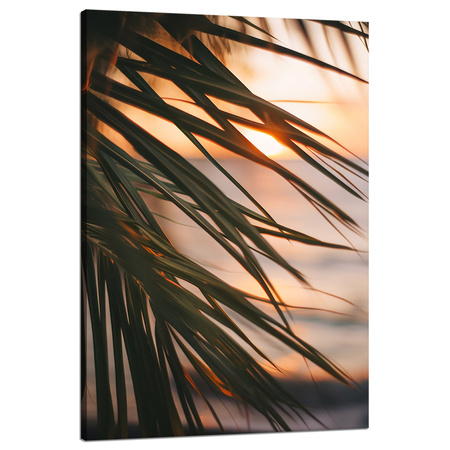 Leinwandgemälde Natur Strand Palme Meer Sonnenuntergang 80x120