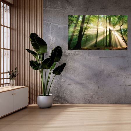 Leinwandgemälde Sonne im Wald Bäume Natur 100x60 cm