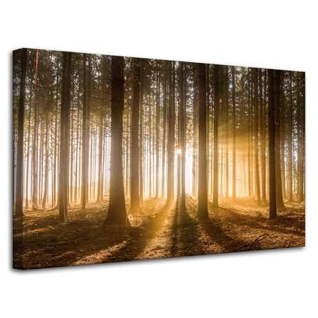 Leinwandgemälde Sonne im Wald Baumlicht 80x50 cm