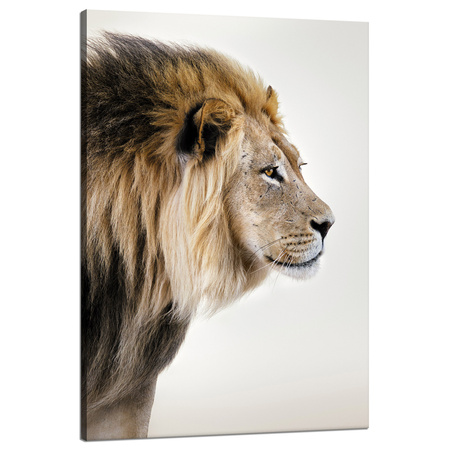 Leinwandgemälde Starrender Löwe Naturgesicht 80x120 cm
