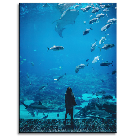 Leinwanddruck People Aquarium 30x40 cm