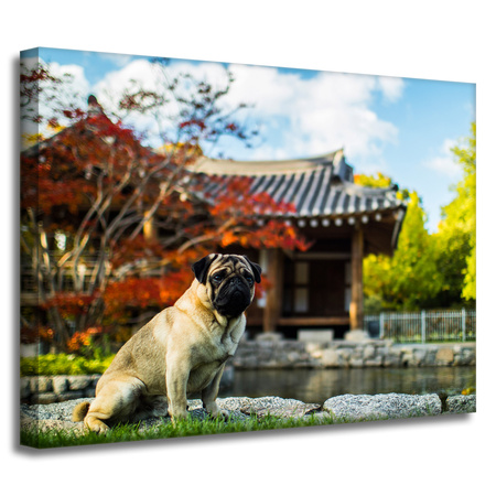 Leinwandgemälde Tiere Hund_2 40x30 cm
