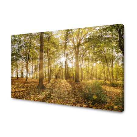 Leinwandgemälde Sonne zwischen Bäumen im Wald 120x80 cm