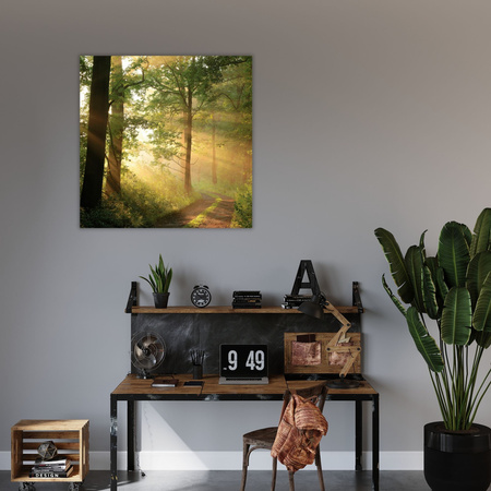 Leinwandgemälde Sonnenlicht Waldweg Natur 80X80 cm