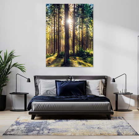 Leinwanddruck Wald Sonne Bäume Frühlingsmorgen 70x120 cm
