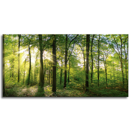 Leinwanddruck Sonne, Wald, Bäume, Lichtstrahlen, 120x60 cm