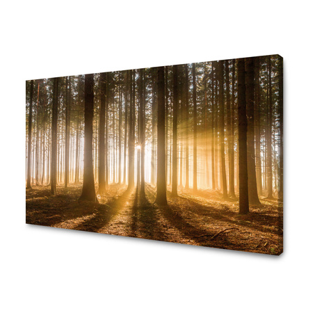 Leinwandgemälde Sonne im Wald Baumlicht 70x50 cm