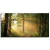Leinwandgemälde Sonnenlicht Waldweg Natur 80x40 cm
