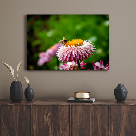Leinwandgemälde Botanik Biene auf einem Gänseblümchen 40x30 cm