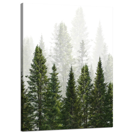 Leinwandgemälde Regenwald Natur Bäume 50x70 cm
