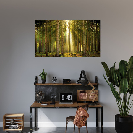 Leinwanddruck Wald Bäume Sonne Natur Frühling 120x80 cm