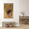 Leinwandgemälde Löwe Natur Savannah Wildness 80x120 cm