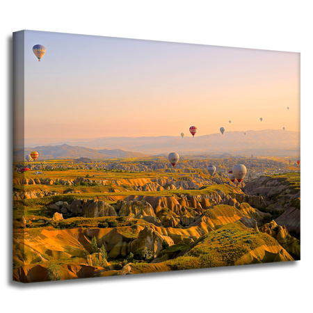 Leinwandgemälde Naturballons 40x30 cm