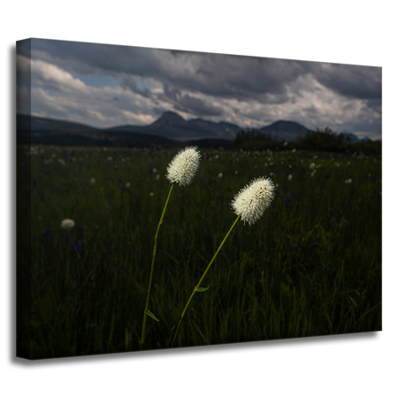 Leinwandgemälde Natur Feldblumen 40x30 cm