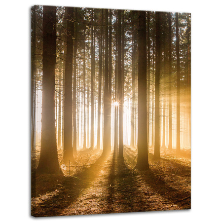 Leinwandgemälde Sonne im Wald Baumlicht 30x40 cm
