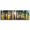 Leinwanddruck Wald Sonne Bäume Frühlingsmorgen 120x40 cm