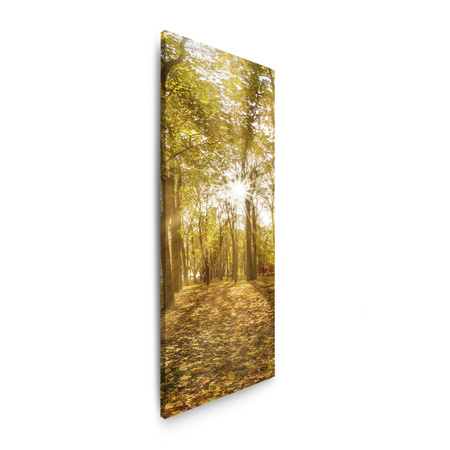 Leinwandgemälde Sonne zwischen Bäumen im Wald 40x120 cm