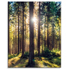 Leinwanddruck Wald Sonne Bäume Frühlingsmorgen 80x100 cm
