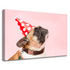 Leinwanddruck Jugend Mops Geburtstag 90x60