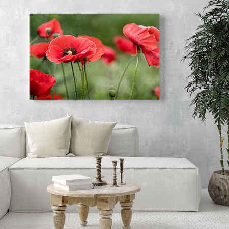 Leinwandgemälde Botanik Rote Mohnblumen 120x40 cm