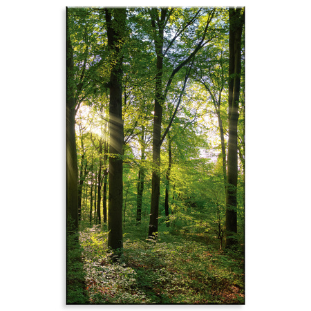 Leinwanddruck Sonne, Wald, Bäume, Lichtstrahlen, 60x100 cm