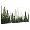 Leinwandgemälde Regenwald Natur Bäume 120x60 cm