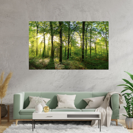 Leinwanddruck Sonne, Wald, Bäume, Lichtstrahlen, 80x40 cm
