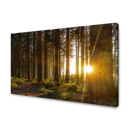 Leinwandgemälde Sonnenuntergang Wald Bäume Natur 120x80 cm