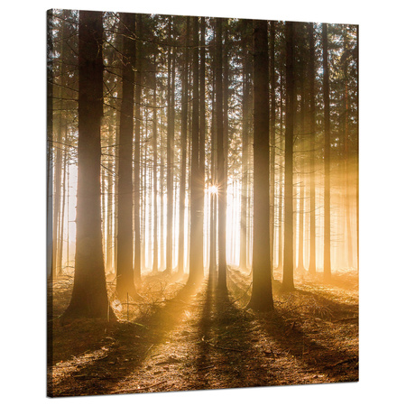 Leinwandgemälde Sonne im Wald Baumlicht 80x100 cm