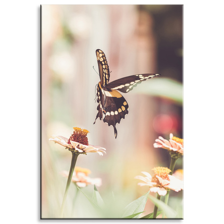 Leinwandgemälde Natur Insekt Schmetterling Blumen Frühling Sommer 80x120