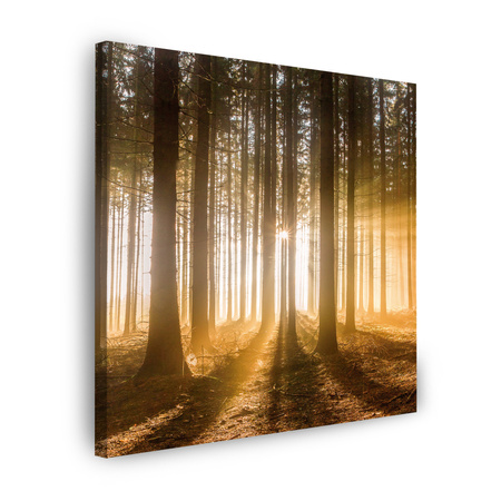 Leinwandgemälde Sonne im Wald Baumlicht 50X50 cm