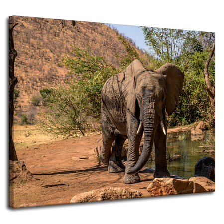 Leinwanddruck Elefant Afrika Wasser Schlamm Sonne 100x80 cm